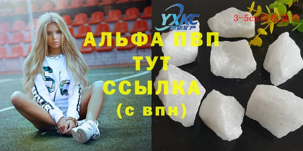 твердый Чекалин