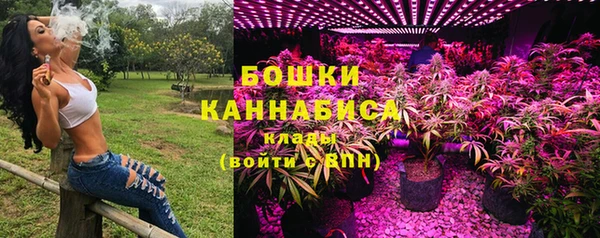 твердый Чекалин