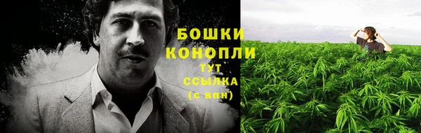 твердый Чекалин