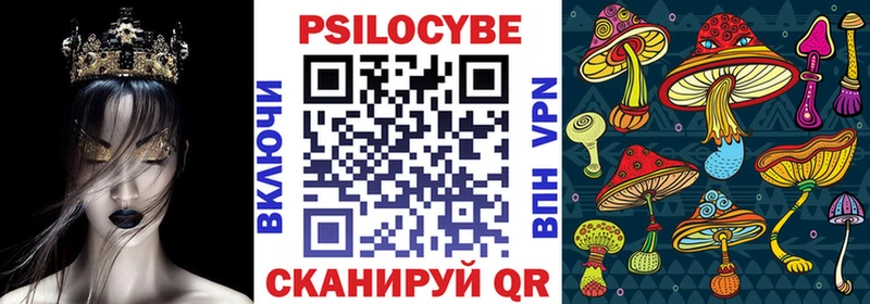 дарнет шоп  даркнет как зайти  Псилоцибиновые грибы мицелий  Чаплыгин 
