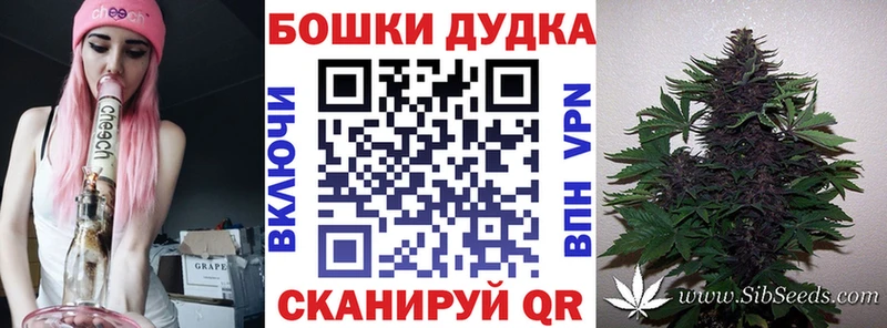 Марихуана White Widow  как найти закладки  MEGA маркетплейс  Чаплыгин 